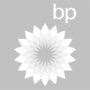 bp-png-logo-gray-sm1